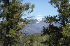 Wheeler Peak