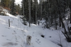 Angel Fire Hiking