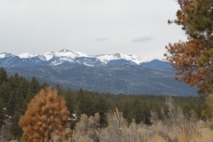 Carson National Forest