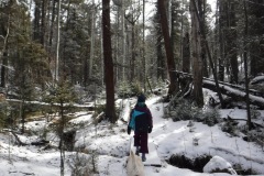 Carson National Forest