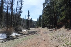 Carson National Forest