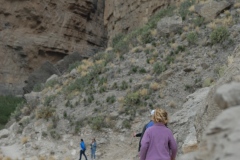 santa elena's canyon