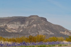 big bend state park