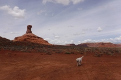 Valley of the Gods