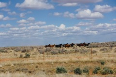 Driving to Blanding, Utah