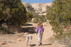 Walking to Butler Wash Ruins