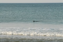 National Seashore