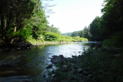 Swimming hole