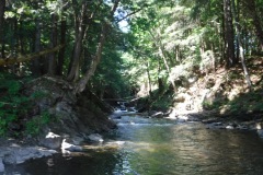 Swimming hole