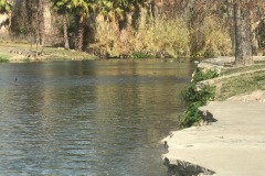 San Felipe Creek