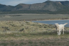 Flaming Gorge Reservoir