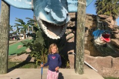 Mini Golf