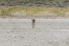 Antelope State Park