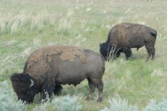 Antelope State Park