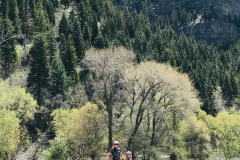 Provo River Parkway Trail