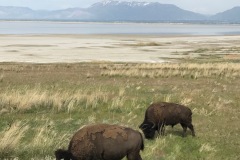 Antelope State Park