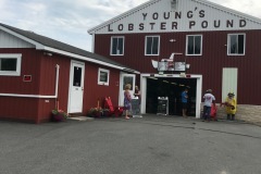 Young's Lobster