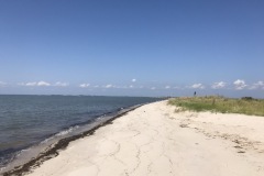 Jane's island state park