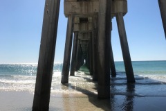 The Dog Beach