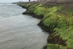 Jetties