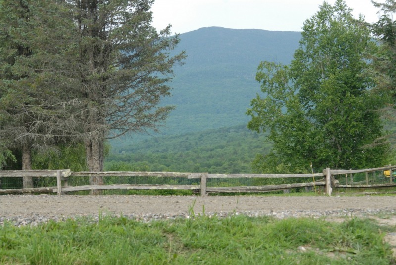 Starksboro Area, VT 10 Happy Feet