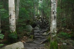 Lonesome lake hike