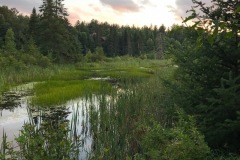 IMG_7461